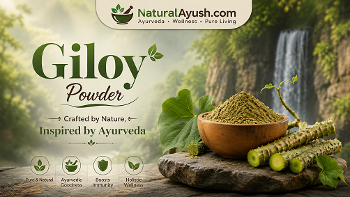 Giloy Powder – Crafted by Nature, Inspired by Ayurveda